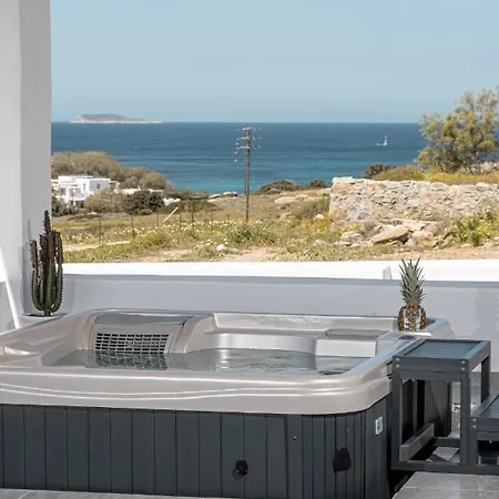 Casa Aelia ,stelida Naxos Willa Stelida (Naxos)